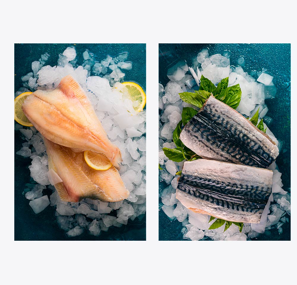 Sesión fotográfica de lomos de pescado congelados para rebranding de cigalmar